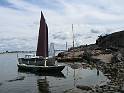 IMG_6554