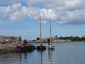 IMG_6591
